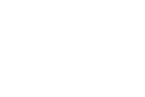 Vini dz9